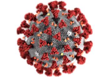 Coronavirus: Schweizer befürworten Contact Tracing via Smartphone